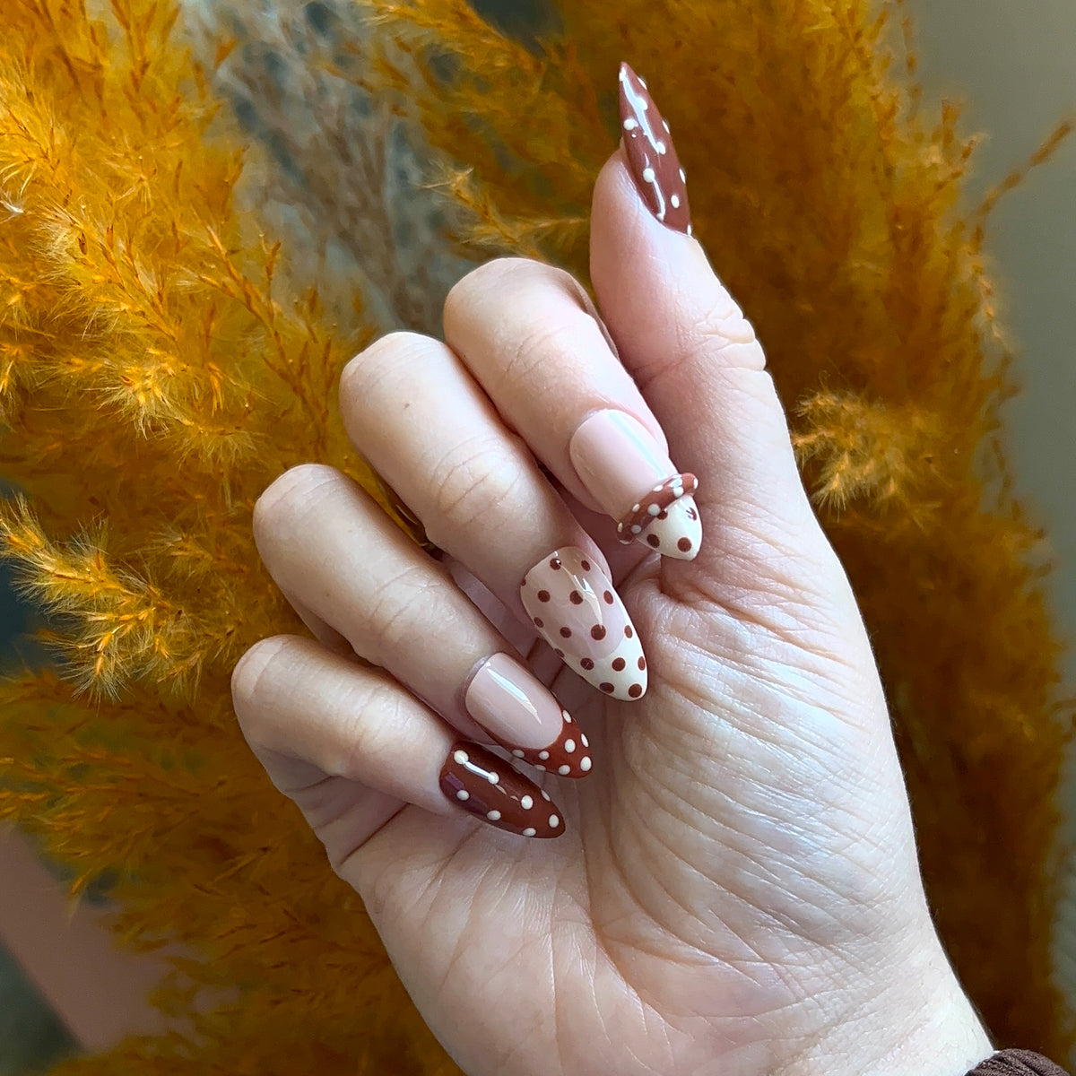 Pois d’automne