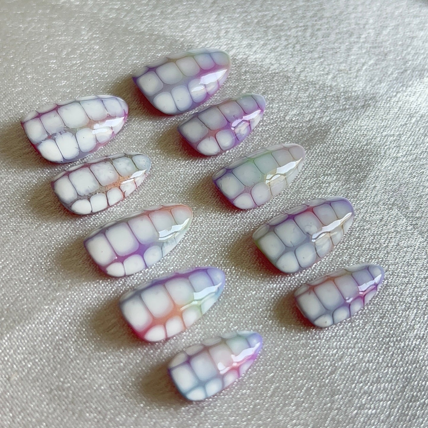 Disco Croco