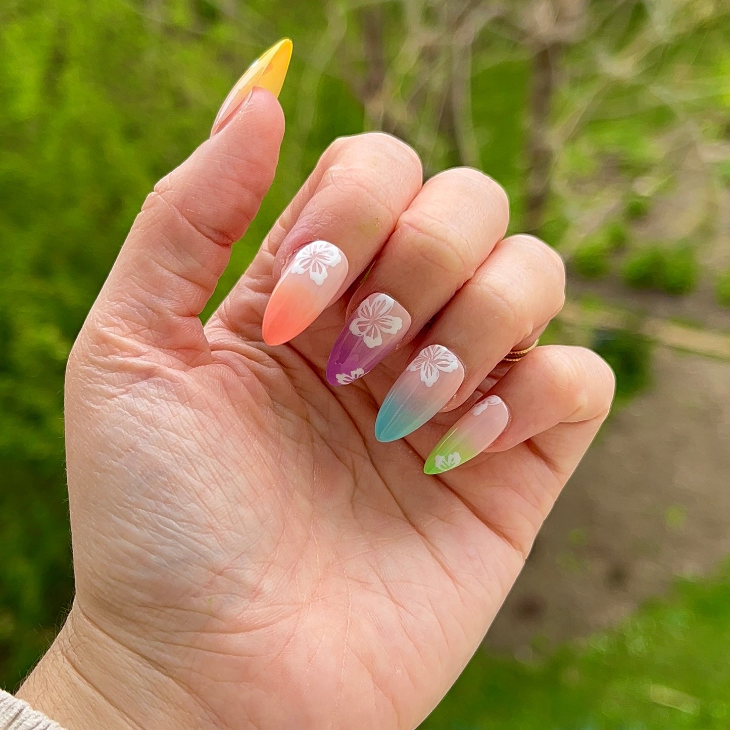 Tropics